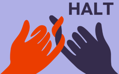 openTransfer CAMP Zusammenhalt Neustrelitz